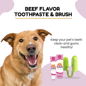Beef Flavor Toothpaste & Brush