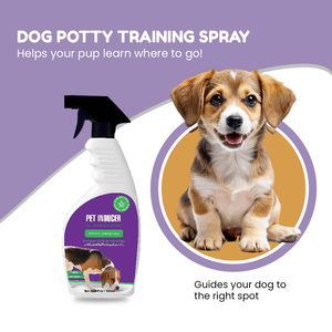 Dog Potty Training Spray - Effective Puppy Training Tool