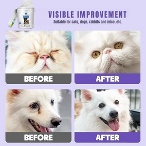 Pet Eye wipes_ Result in 7 days