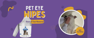 Pet Eye wipes for Tear stain removal