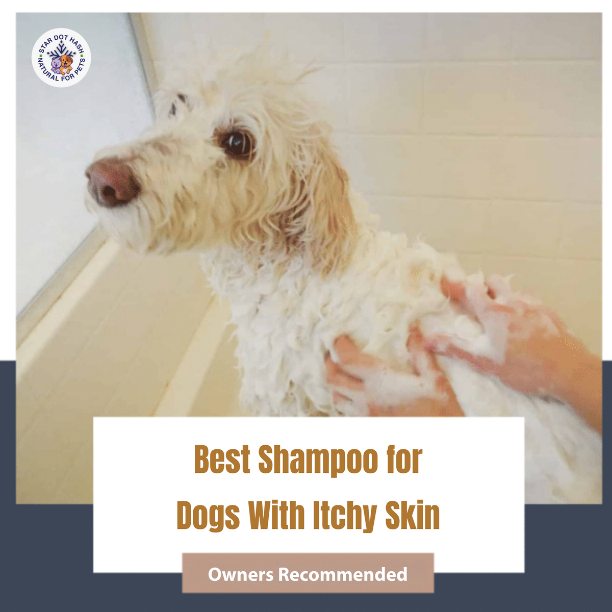 Dog Itch Relief Shampoo - Deep Cleaning & Soothing Care