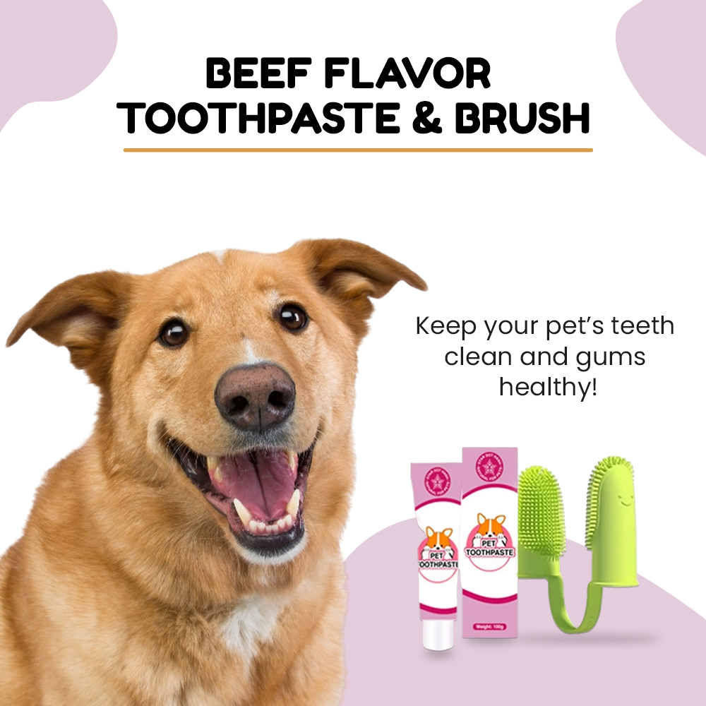 Beef Flavor Toothpaste & Brush