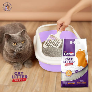 Buy Car Litter