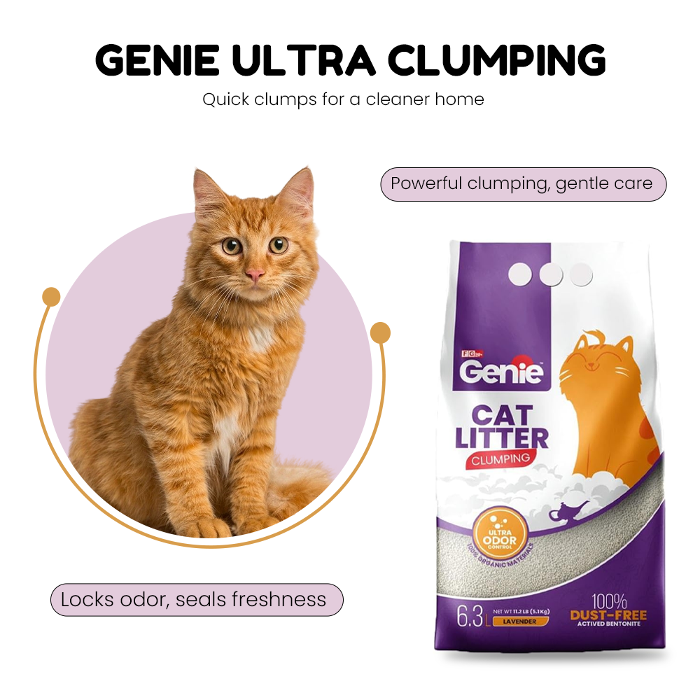 Genie Ultra-Clumping Cat Litter 5KG – Lavender, Dust-Free, Odor Control