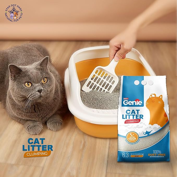 Get Buy Clumping Cat 