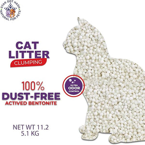 Get and buy car litter 