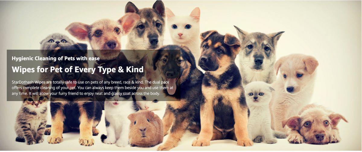 Ultra Thick & Soft Pet Wipes Bundle - Quick Clean for Dogs & Cats