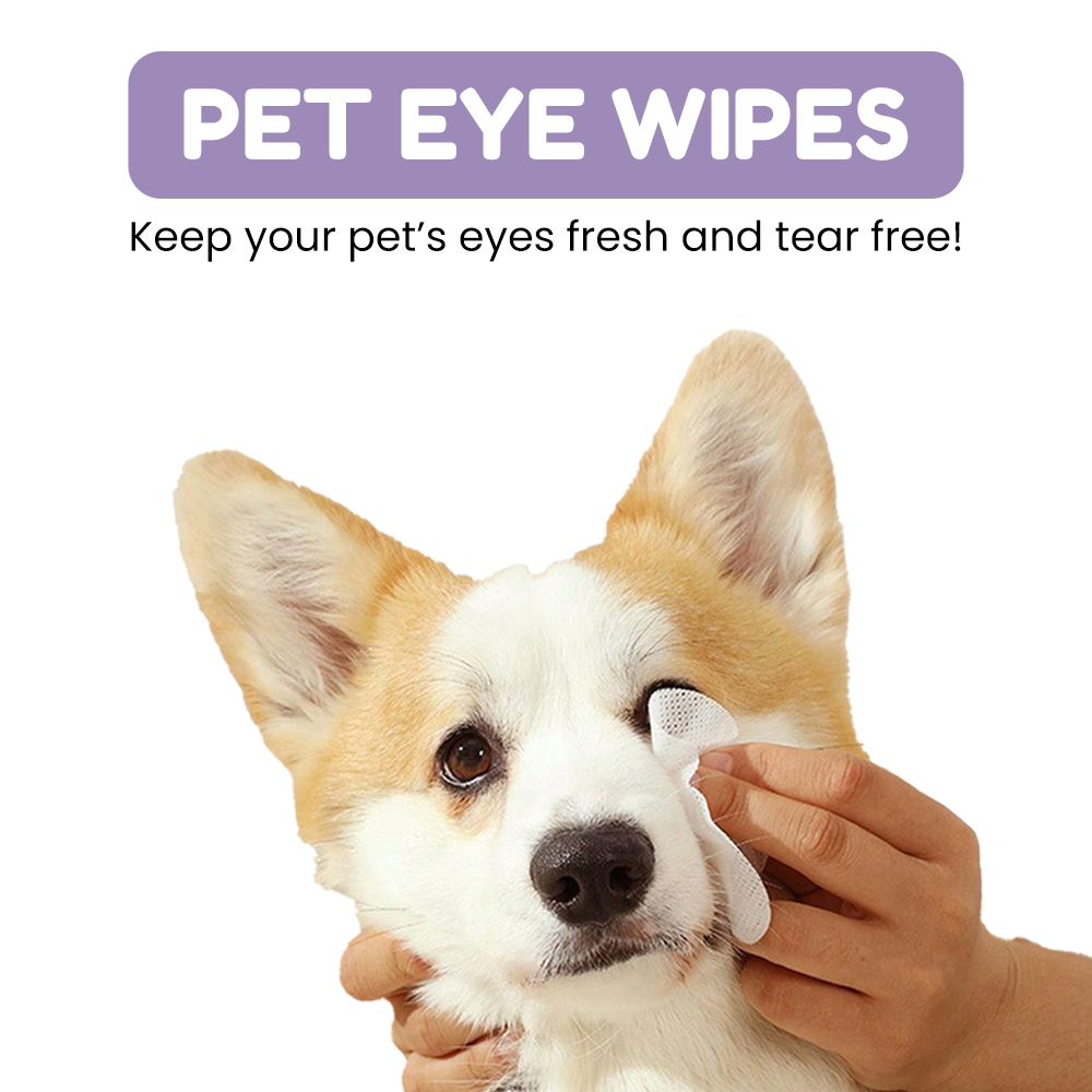 Pet Eye Wipes - Clean Tear Stains on Dogs & Cats, 400 Wipes Bundle
