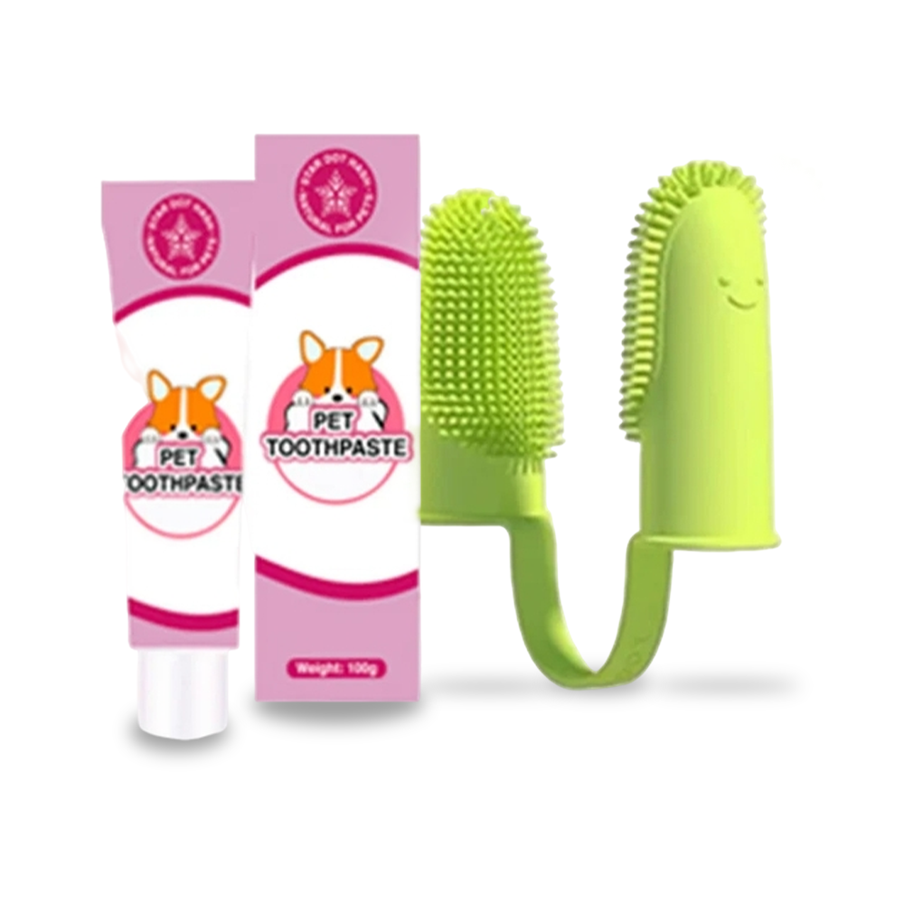 Beef Flavor Toothpaste & Brush